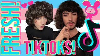 TikToks To Watch As The World Burns | #tiktokviral #FTM #transmasc #MTF #queer #lgbt TikTok Bunny 🐰