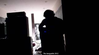 ANDRE FOISY Live in Chicago; January 28, 2012