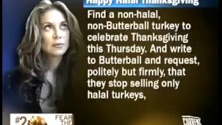 for those of you who don't know what halal means..