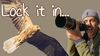 THINGS to do in MILDURA | Common BIRDS to see