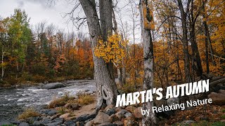 Marta’s Autumn – 150 minutes of Beautiful, Relaxing Nature Music for Study, Work, Meditation, Sleep