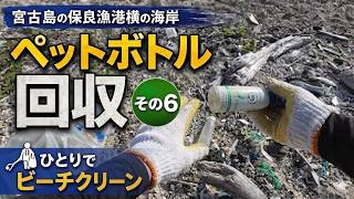 つかんだ瞬間に粉々になるペットボトル。これがマイクロプラスチックになる直前の姿です。｜宮古島ペットボトル回収記 #6