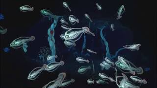 Subnautica – Kelp Forest Ambience (Underwater / Creature Sounds, White Noise)