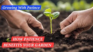 How Cultivating Patience Leads to Bountiful Garden #2024goalcrusherchallenge