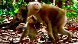Baby BEGS Cruel Mom As She ABANDONS Him!
