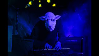 OVIS en vivo (Las gaviotas - Bailando con Jaime)