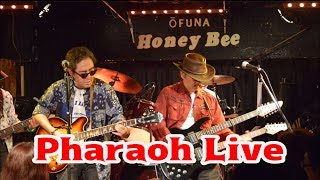 2018 The Pharaoh Live