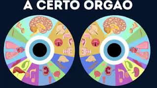 Edmilson Lima Terapeuta Iridólogo e Naturopata telepesquisa.com