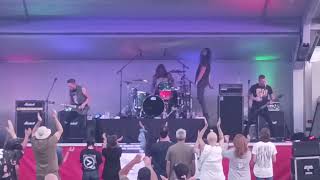The Protest - Noise Revolution