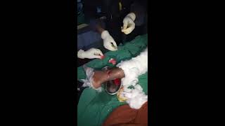 Leg Surgery At Kohalpur Hospital