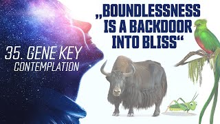35th Gene Key 💜 Boundlessness - Adventure - Hunger (Gene Key 35 Contemplation)