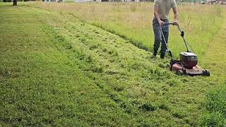 Knocking Down Tall Grass, September 2025