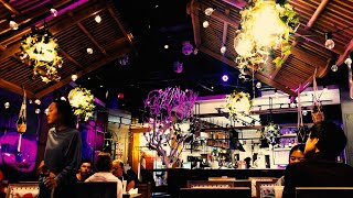 1 hour of Relaxing Piano chill music in the coffee shop