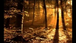Gregorian Chants - Amazing Grace