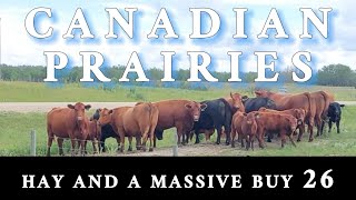 Hay Day and making a huge purchase on CANADIAN PRAIRIES 26 FS22