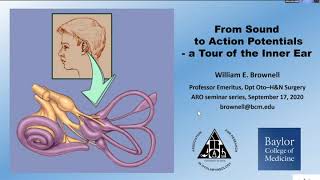 From Sound to Action Potentials - a Tour of the Inner Ear