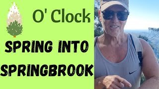 🌿 Shrub O’Clock: Spring Into Springbrook National Park. Waterfalls, Birds and Serious WOWEE 😍