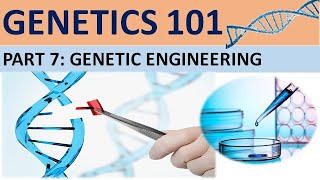 GENETICS 101 (Part 7)| Genetic Engineering| CXC Biology Tutor