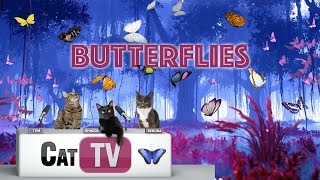 Cat TV | 🦋 Tranquil Butterflies and Serene Music – A Gentle Retreat for Cats 🐱 | Relax my cat