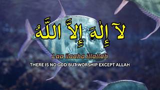 Daily Dhikr LAILAHAILLALLAH for Soul Wellbeing