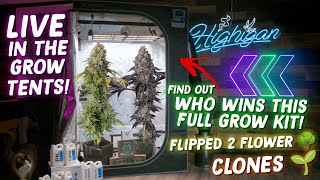 Flipping To Flower, Clones and WHO WINS THE GROW KIT?! LIVE IN THE GROW TENTS!