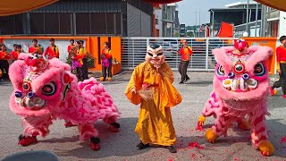 Pink Lion Dance accompanied by a Big Head Buddha (Da Tou Fut)