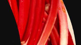 RHUBARB     TODD DILLINGHAM JUNE 2011 PSYCHEDELIC.