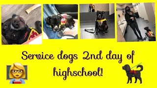 Service Dogs Second Day Of High School!