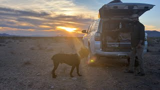 Setting Up Camp Alone in the Desert 