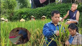 Tuan was heartbroken when he received his wife's letter.