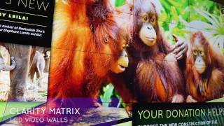 IAAPA 2016 Hologram Presentation
