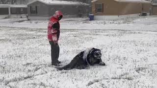 CBW: Snow wrestling