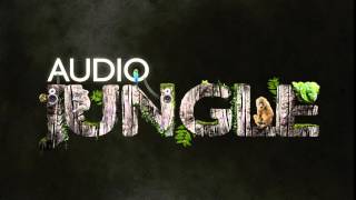 Music - Don't Give Up | AudioJungle