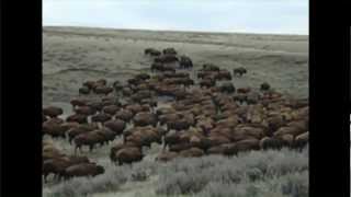Durham Ranch in Wyoming