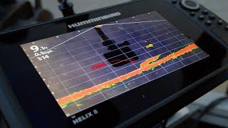 Fishing Humminbird Mega Live Imaging for Musky - My First Impressions
