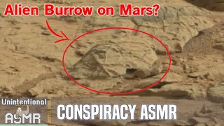Unintentional ASMR 🪐 Proof of Life on Mars? Alien Technology? 👽 Soft Spoken Conspiracy Theorist