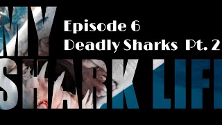 EP. 6 "Deadly Sharks Pt. 2" // Season 3 // My Shark Life ( @WildlifeWithRyan 2023 ) #mysharklife