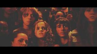 harry potter | you're not alone