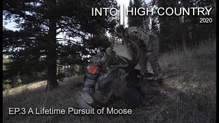 A Lifetime Pursuit Of Moose
