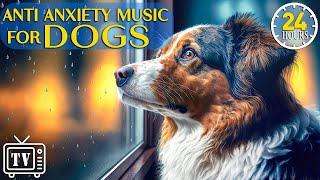 24 Hours of Music for Dogs Who are Alone: How to Relax My Dog in House & Calming Stress Relief Dogs