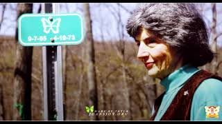 Joan D'Alessandro | 50 Year Tribute
