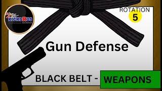 BB:  Gun Defense (Rotation 5)