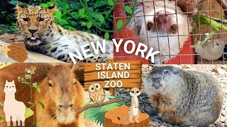 NYC Staten Island Zoo Highlights | Meeting Amur Leopard, Capybara & Other Cute Rare Animals