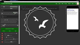 Speed Run thru HTML & CSS on freeCodeCamp