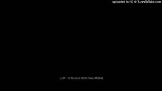 D.I.M - Is You (Les Petits Pilous Remix)