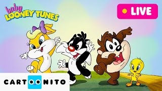 LIVE: Outdoor Adventure, Indoor Playing and Food Fights | Baby Looney Tunes | Cartoonito