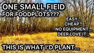ONLY 1 SMALL AREA TO FOOD PLOT...THIS IS WHAT ID PLANT