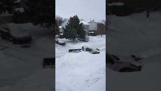 mail box snow removal