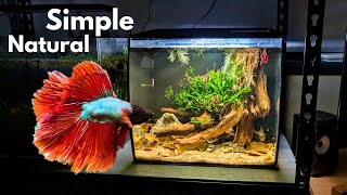 Setting up the PERFECT betta tank : A step by step guide