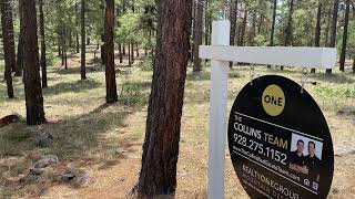 Pine Meadow Estates lot for sale in Williams AZ